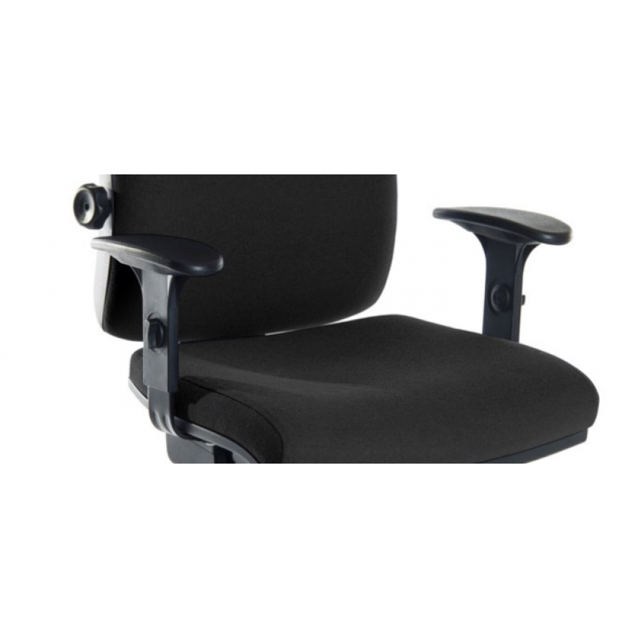 Ergo Plus Fabric Posture Office Chair with Black Base